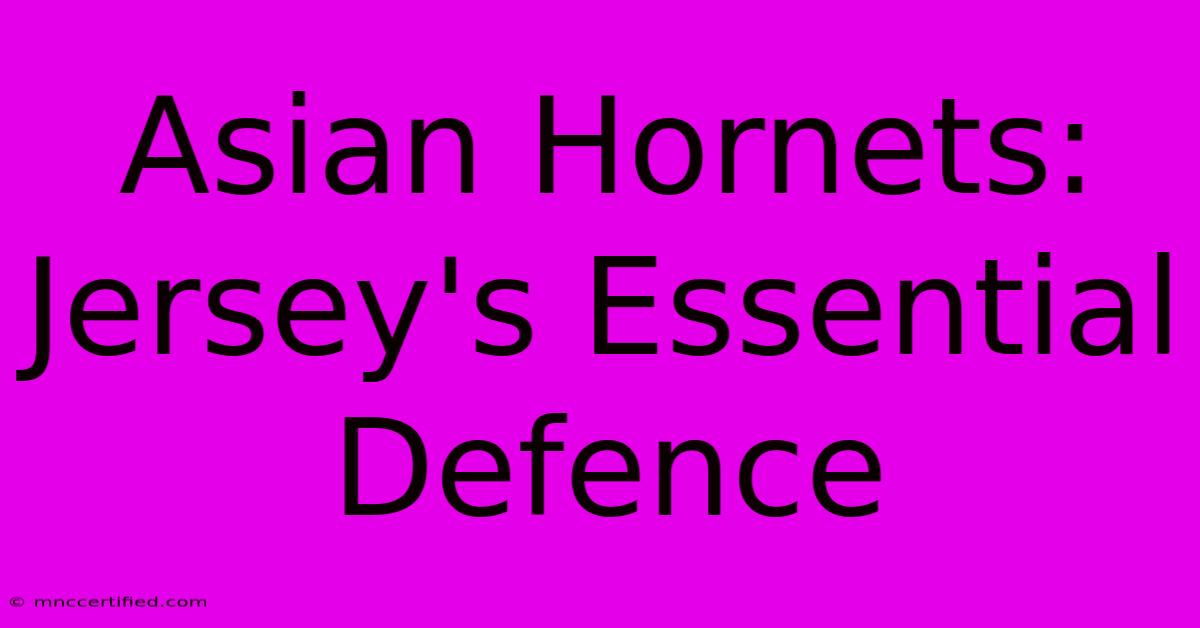 Asian Hornets: Jersey's Essential Defence