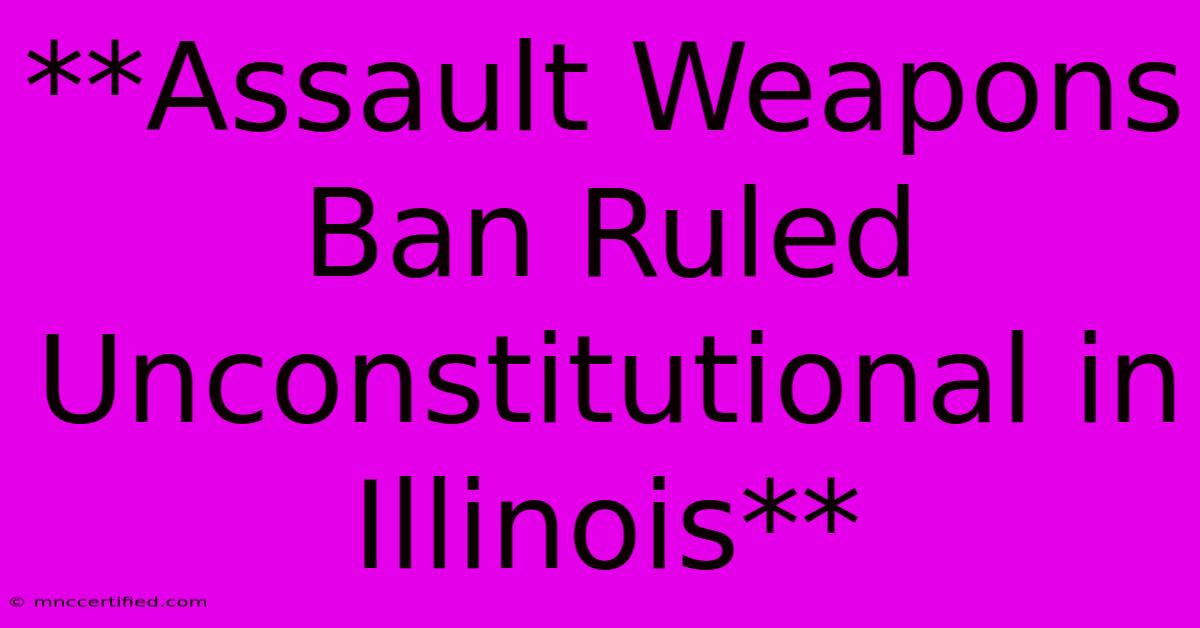 **Assault Weapons Ban Ruled Unconstitutional In Illinois**