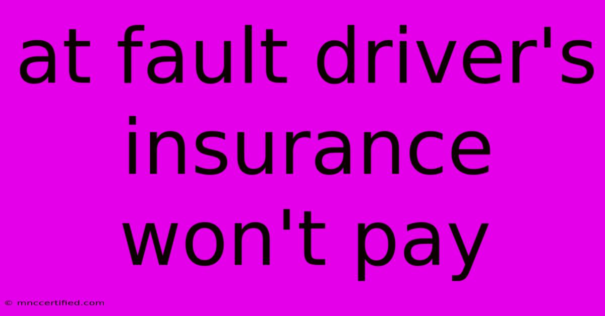 At Fault Driver's Insurance Won't Pay