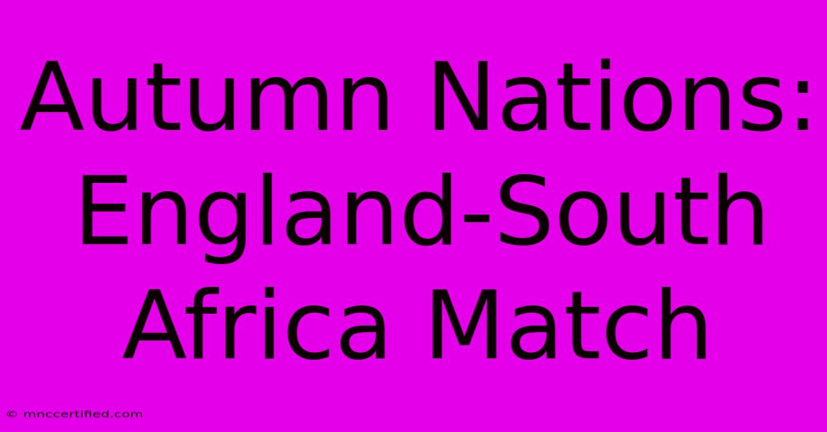 Autumn Nations: England-South Africa Match