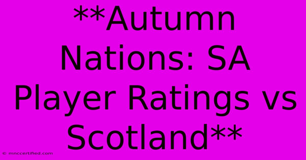 **Autumn Nations: SA Player Ratings Vs Scotland**