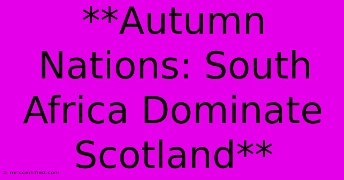 **Autumn Nations: South Africa Dominate Scotland**