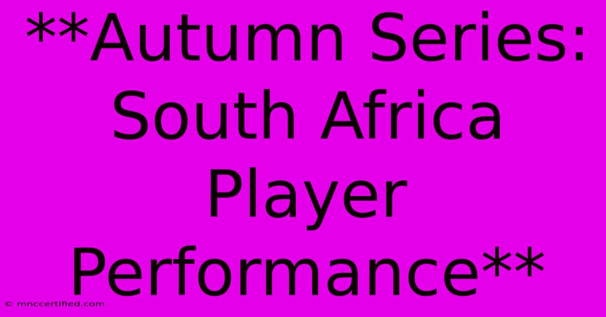 **Autumn Series: South Africa Player Performance** 