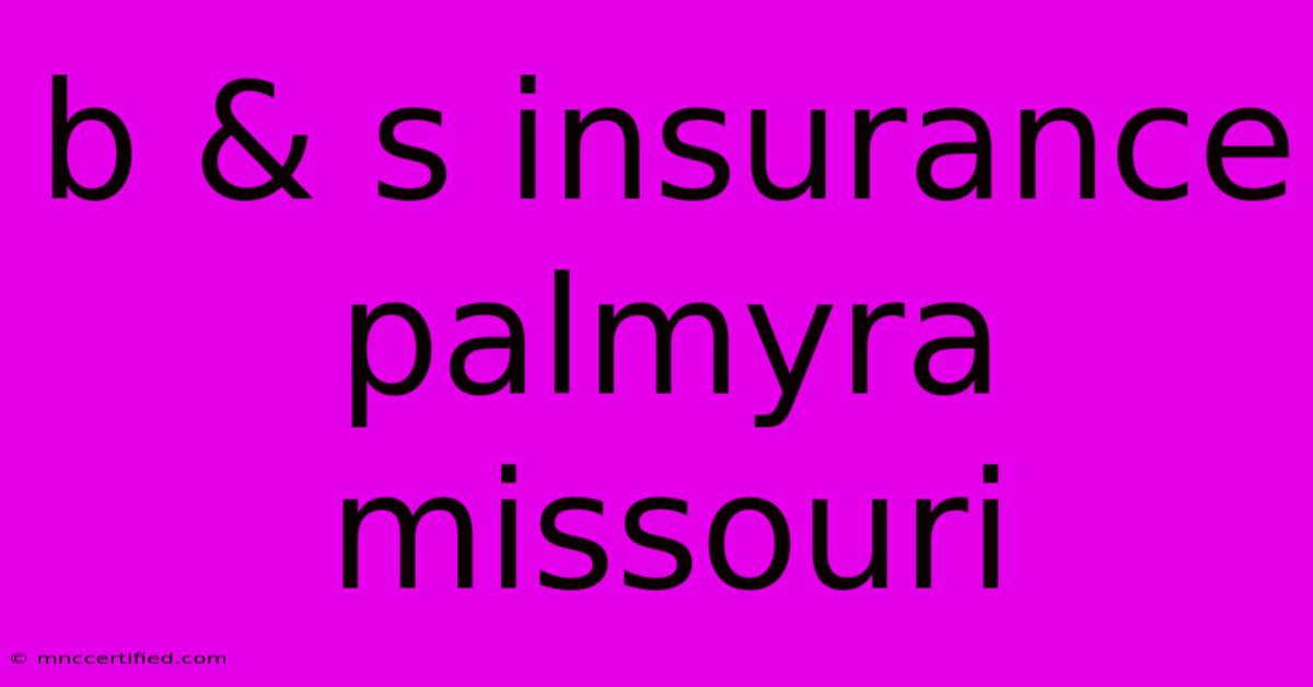 B & S Insurance Palmyra Missouri