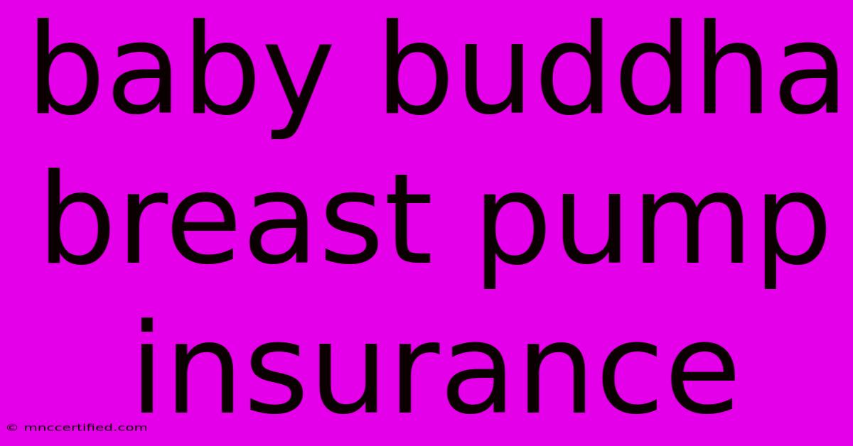 Baby Buddha Breast Pump Insurance