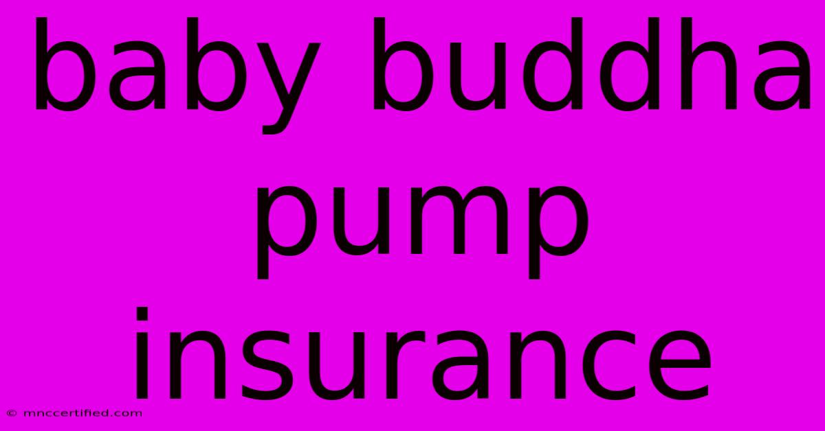 Baby Buddha Pump Insurance