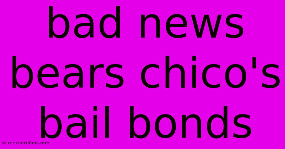 Bad News Bears Chico's Bail Bonds