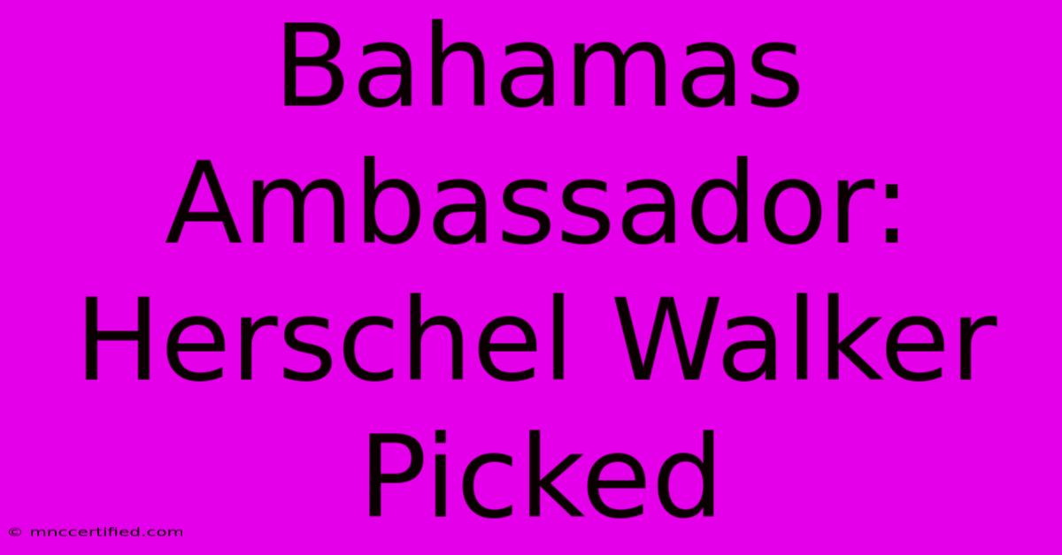 Bahamas Ambassador: Herschel Walker Picked