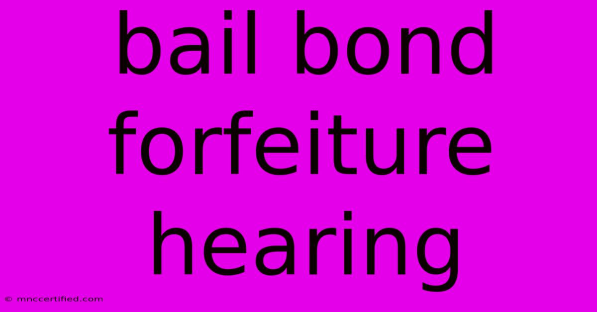 Bail Bond Forfeiture Hearing