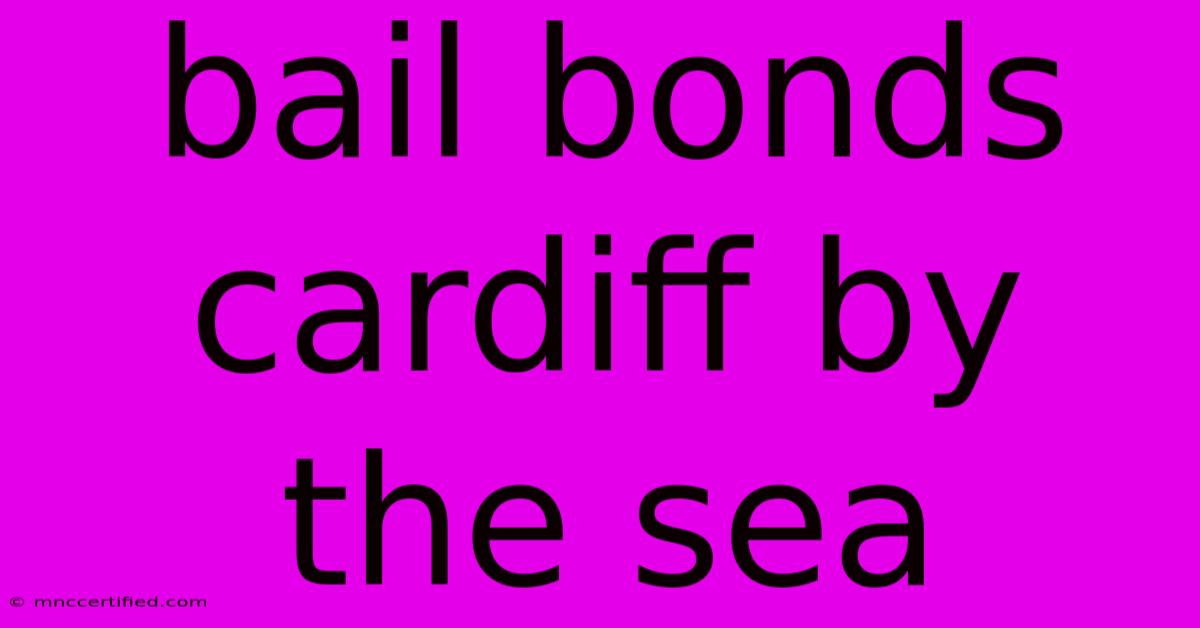 Bail Bonds Cardiff By The Sea