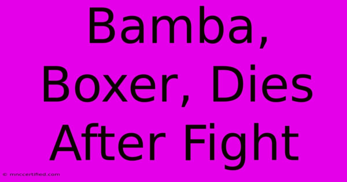 Bamba, Boxer, Dies After Fight