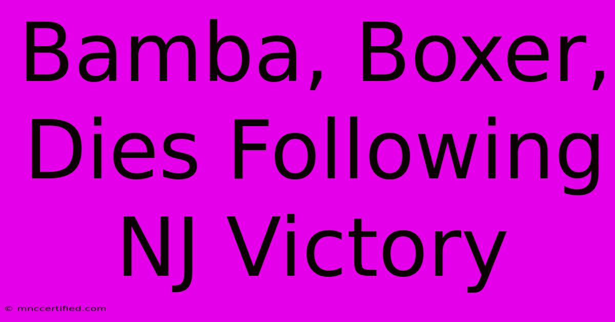 Bamba, Boxer, Dies Following NJ Victory