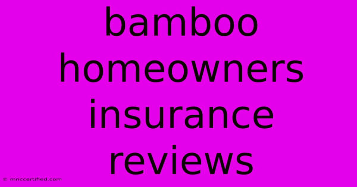 Bamboo Homeowners Insurance Reviews