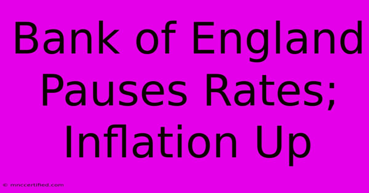 Bank Of England Pauses Rates; Inflation Up