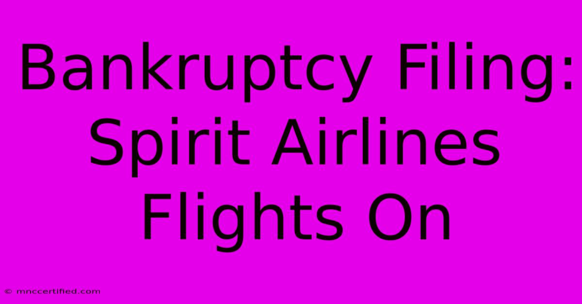 Bankruptcy Filing: Spirit Airlines Flights On