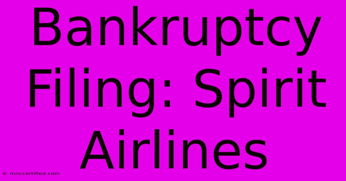 Bankruptcy Filing: Spirit Airlines