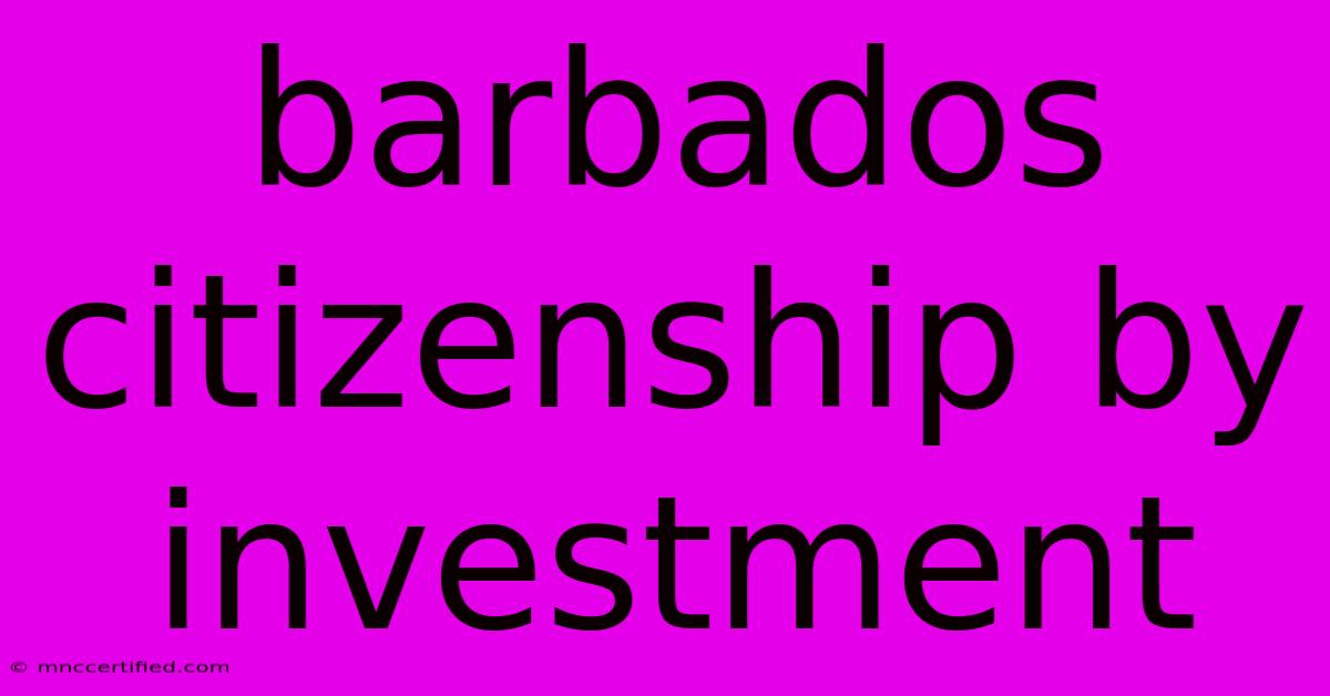 Barbados Citizenship By Investment