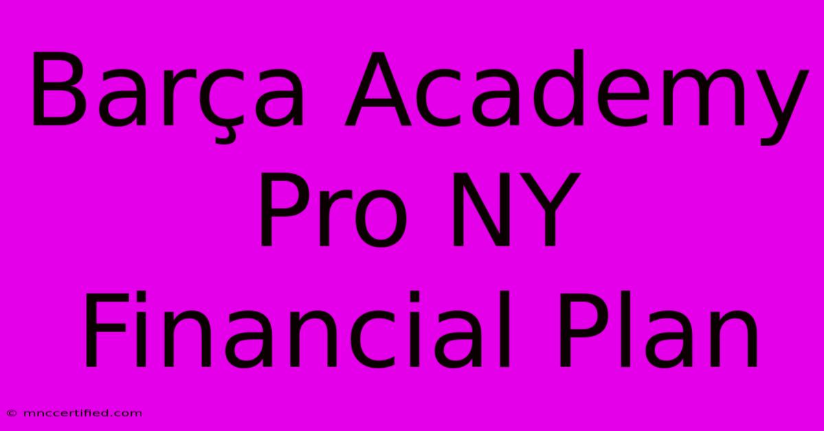 Barça Academy Pro NY Financial Plan