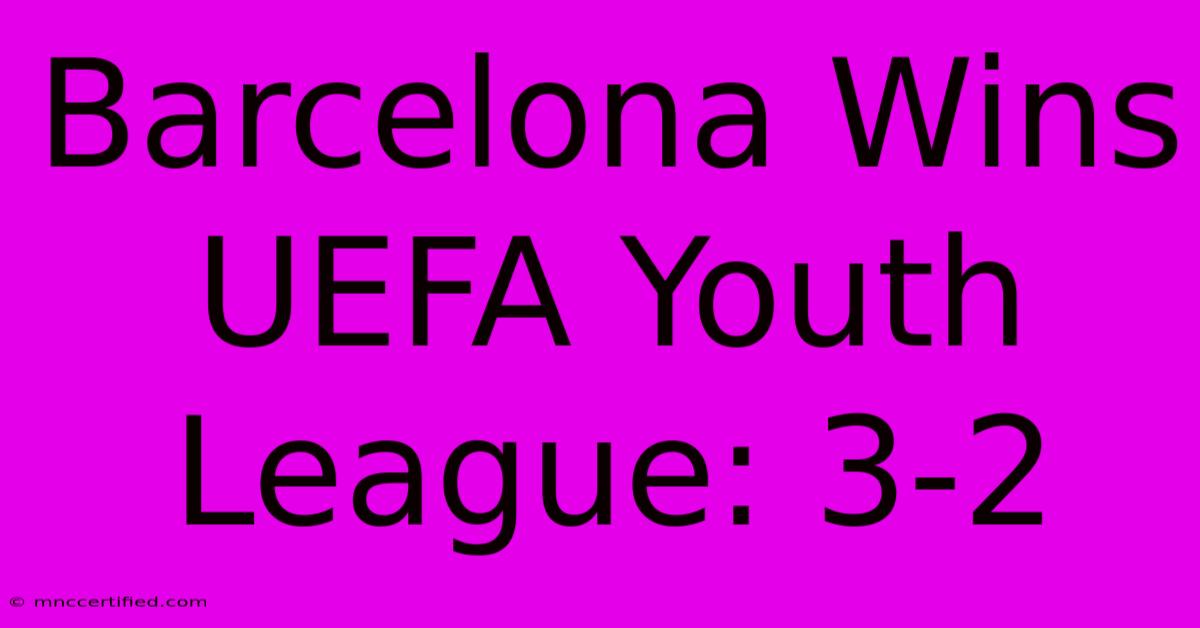 Barcelona Wins UEFA Youth League: 3-2