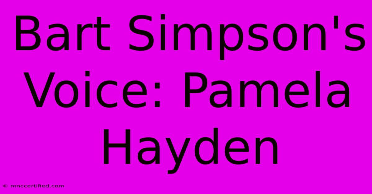 Bart Simpson's Voice: Pamela Hayden