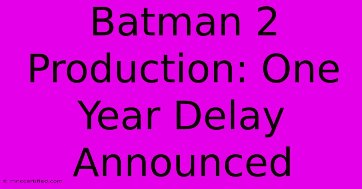 Batman 2 Production: One Year Delay Announced