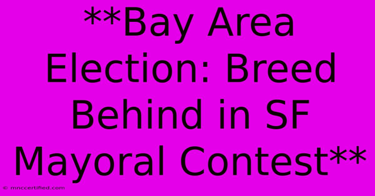 **Bay Area Election: Breed Behind In SF Mayoral Contest**