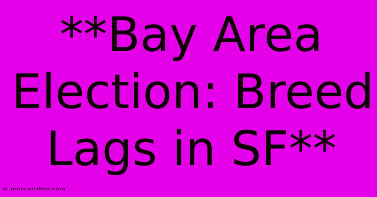 **Bay Area Election: Breed Lags In SF**