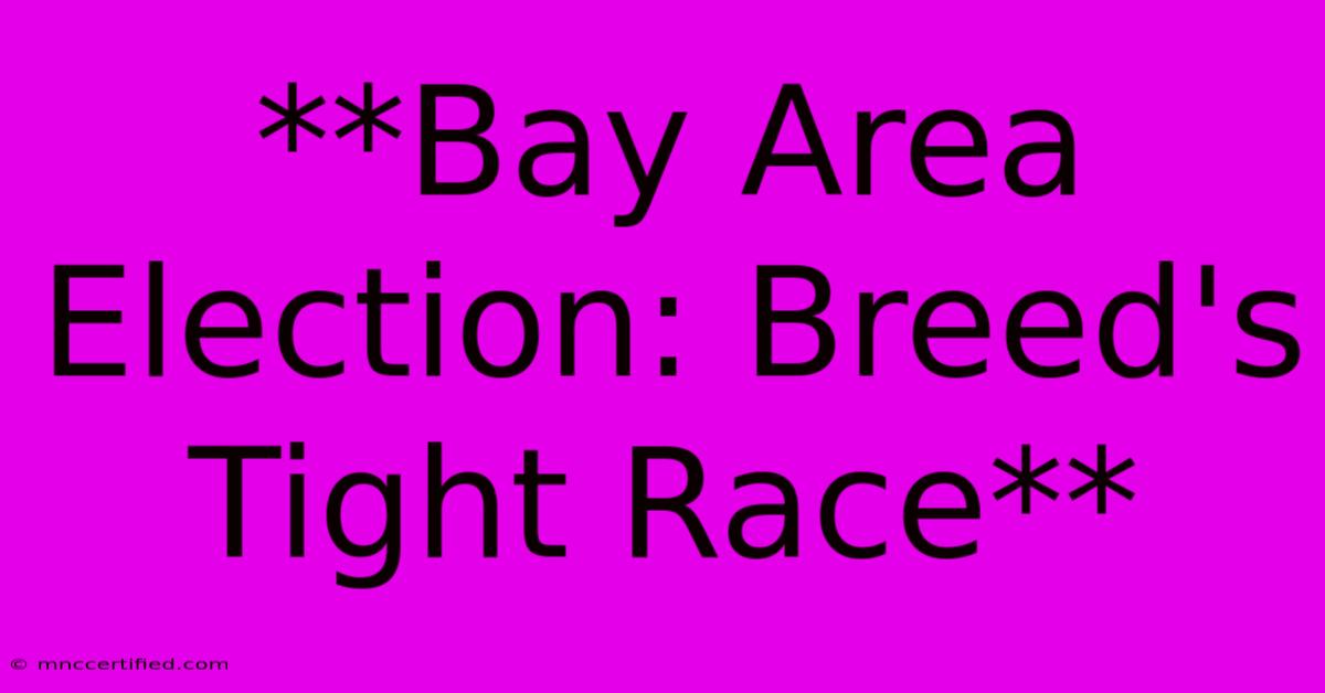 **Bay Area Election: Breed's Tight Race** 