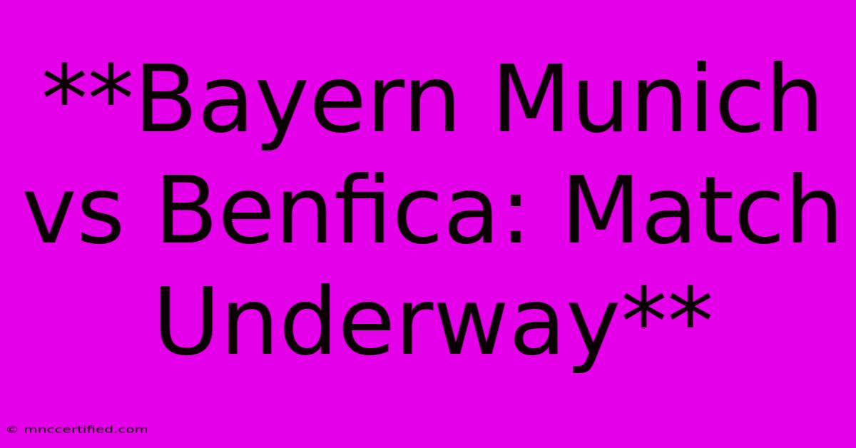 **Bayern Munich Vs Benfica: Match Underway**