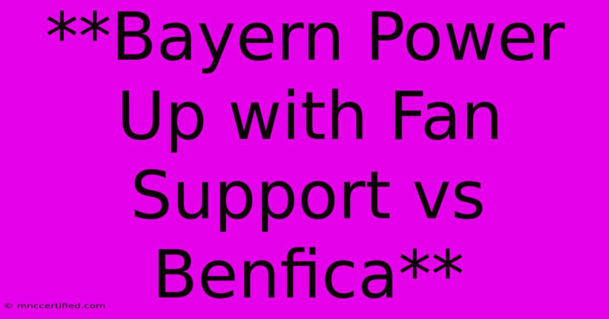 **Bayern Power Up With Fan Support Vs Benfica**