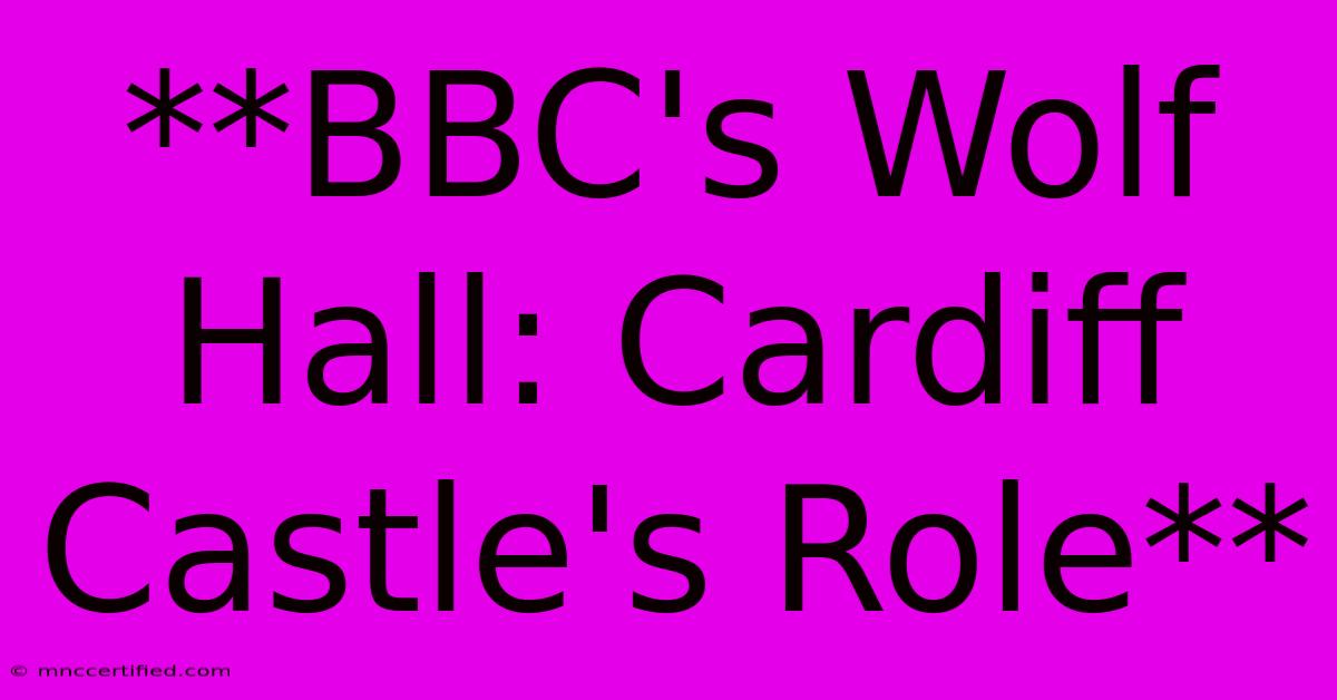 **BBC's Wolf Hall: Cardiff Castle's Role**