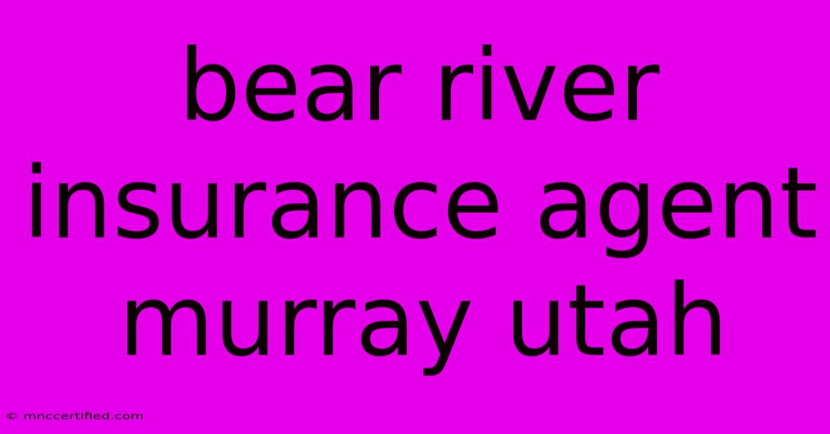 Bear River Insurance Agent Murray Utah