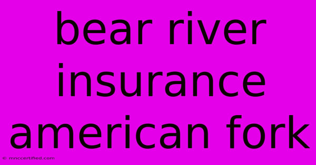 Bear River Insurance American Fork