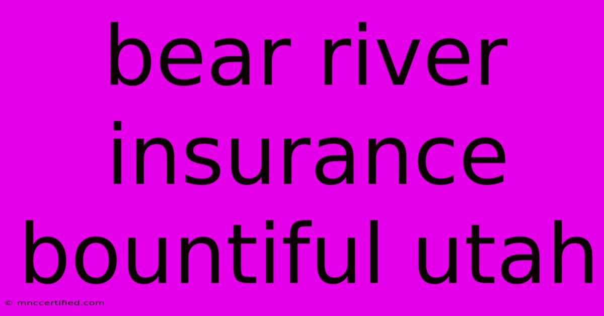 Bear River Insurance Bountiful Utah