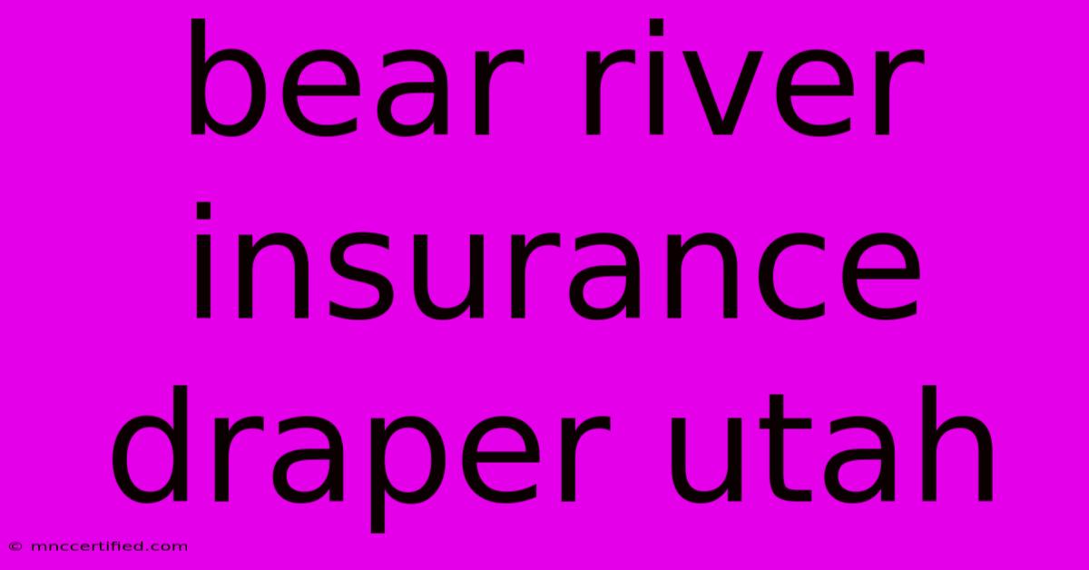 Bear River Insurance Draper Utah