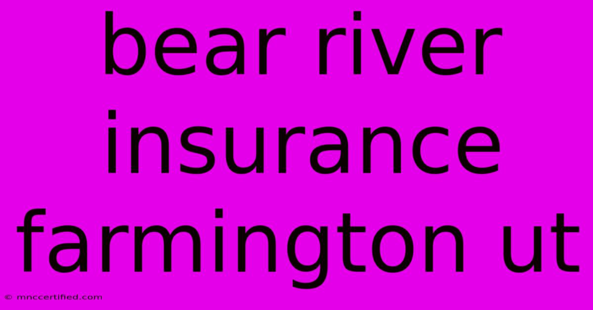 Bear River Insurance Farmington Ut