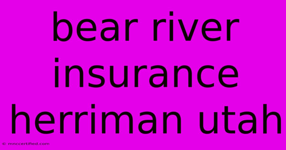 Bear River Insurance Herriman Utah