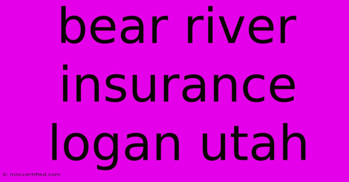 Bear River Insurance Logan Utah