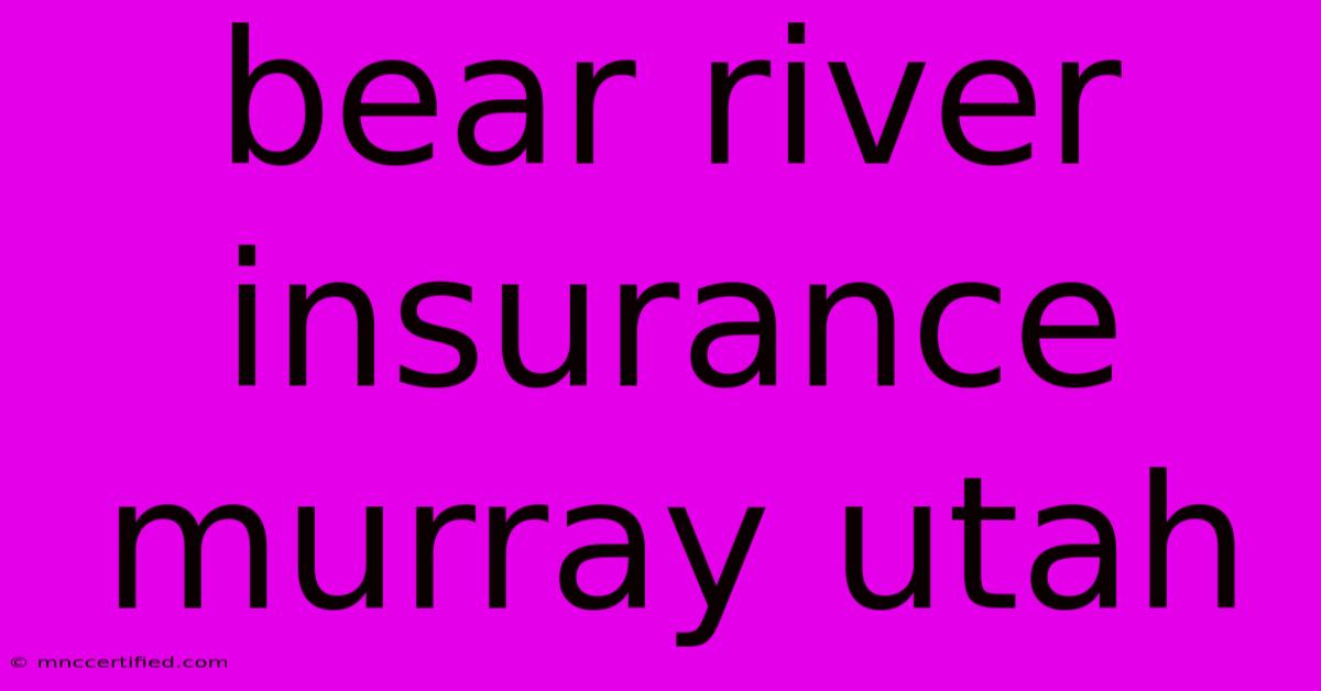 Bear River Insurance Murray Utah