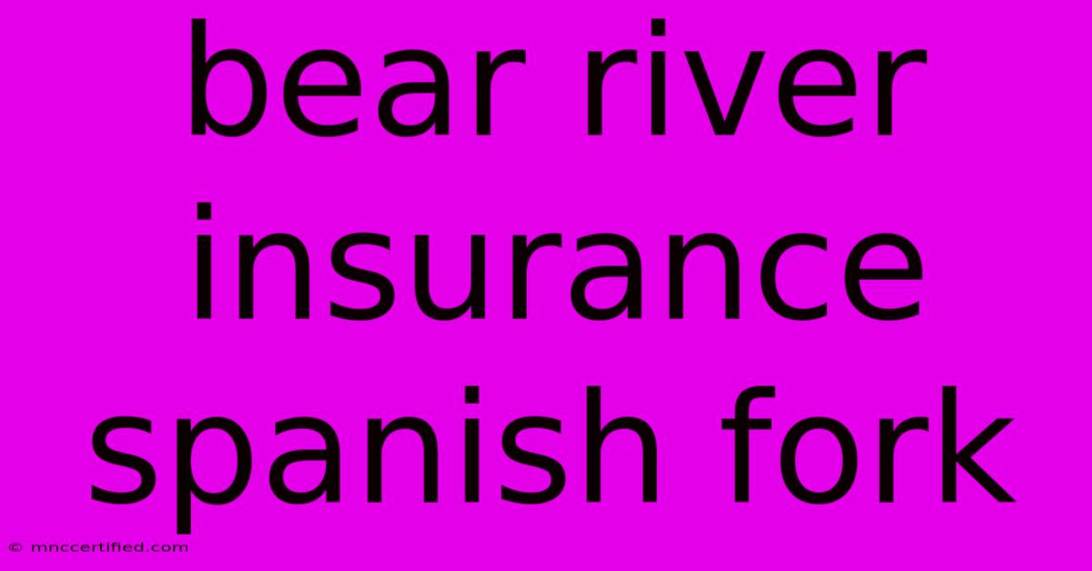 Bear River Insurance Spanish Fork