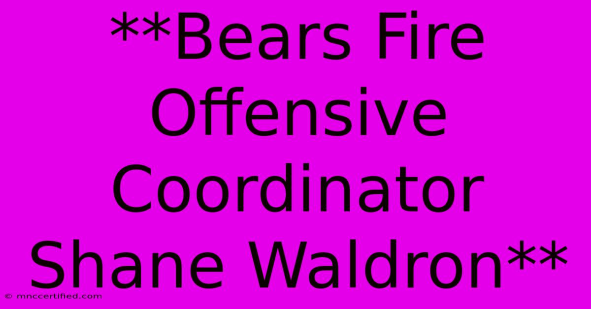 **Bears Fire Offensive Coordinator Shane Waldron**