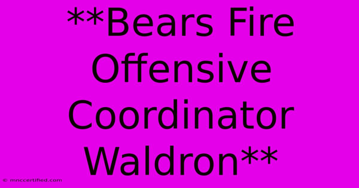 **Bears Fire Offensive Coordinator Waldron** 