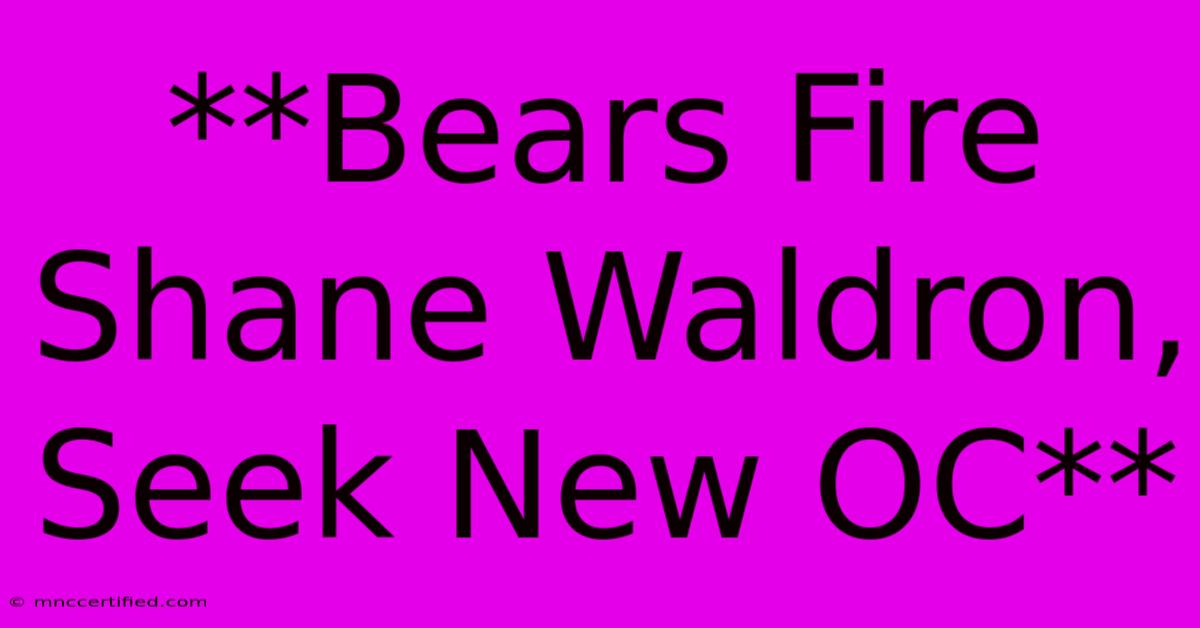 **Bears Fire Shane Waldron, Seek New OC**