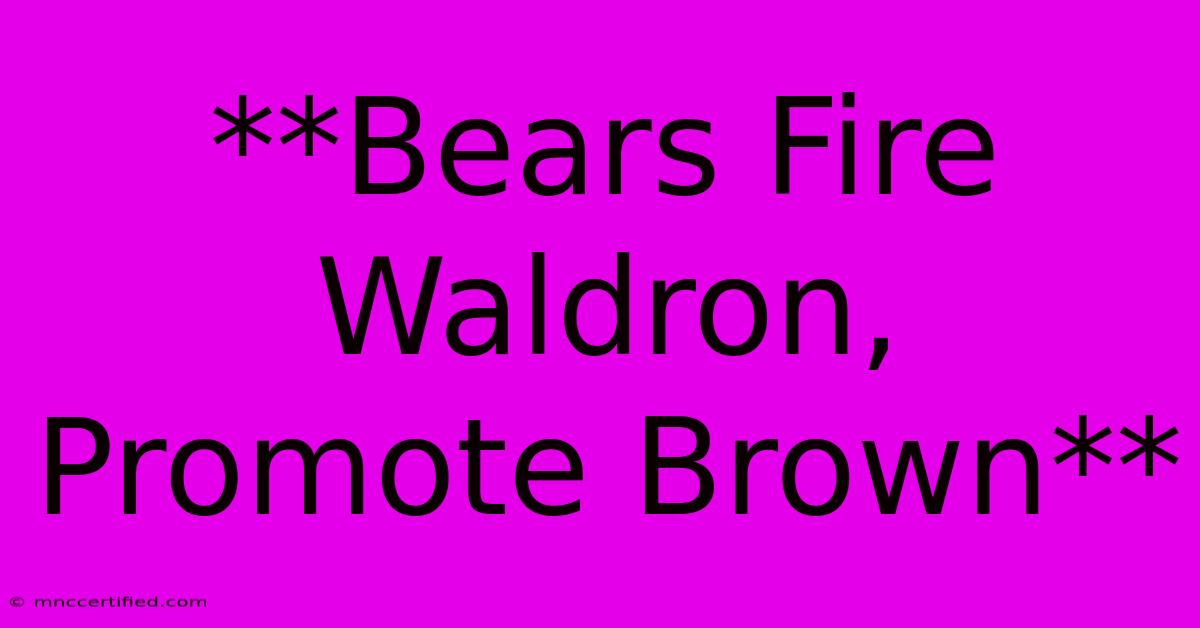 **Bears Fire Waldron, Promote Brown**