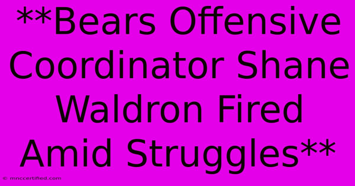 **Bears Offensive Coordinator Shane Waldron Fired Amid Struggles**