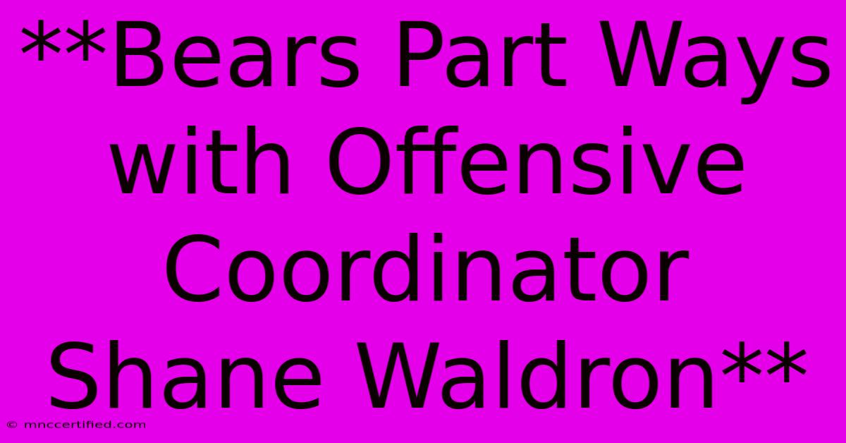 **Bears Part Ways With Offensive Coordinator Shane Waldron**