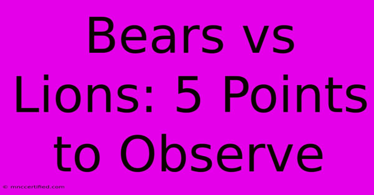 Bears Vs Lions: 5 Points To Observe