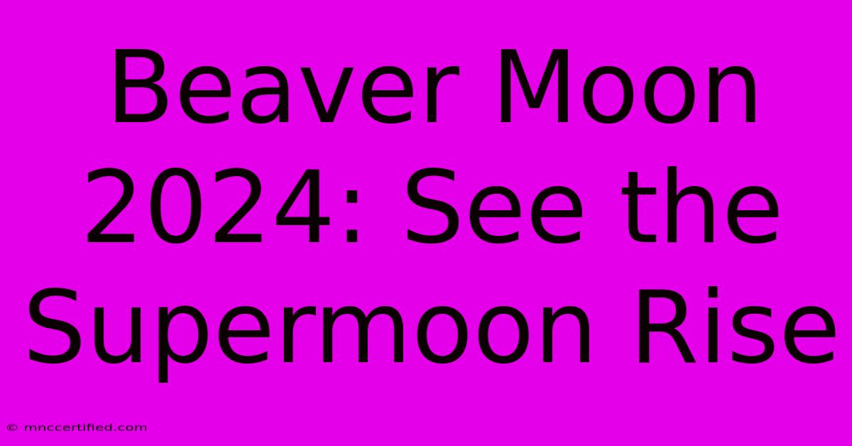 Beaver Moon 2024: See The Supermoon Rise