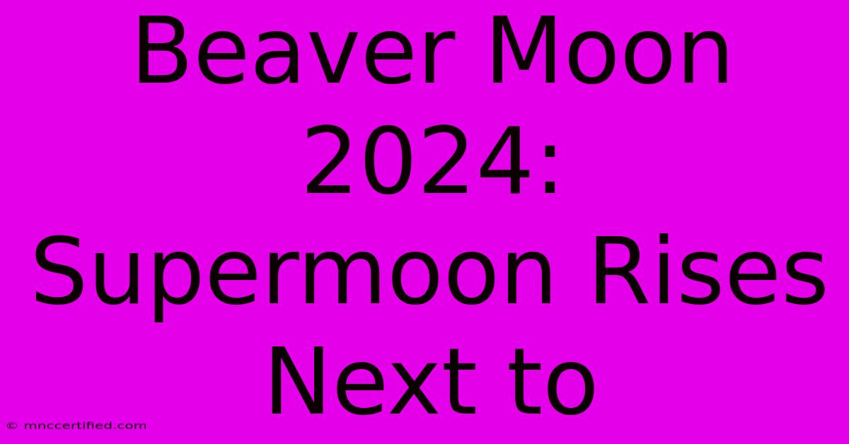 Beaver Moon 2024: Supermoon Rises Next To 