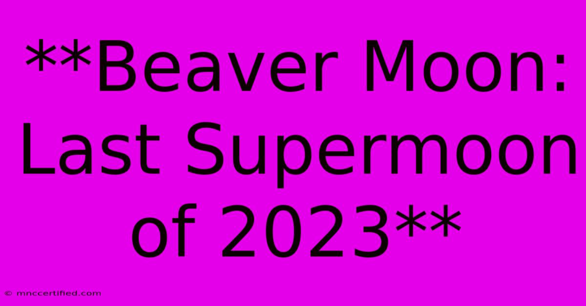 **Beaver Moon: Last Supermoon Of 2023**